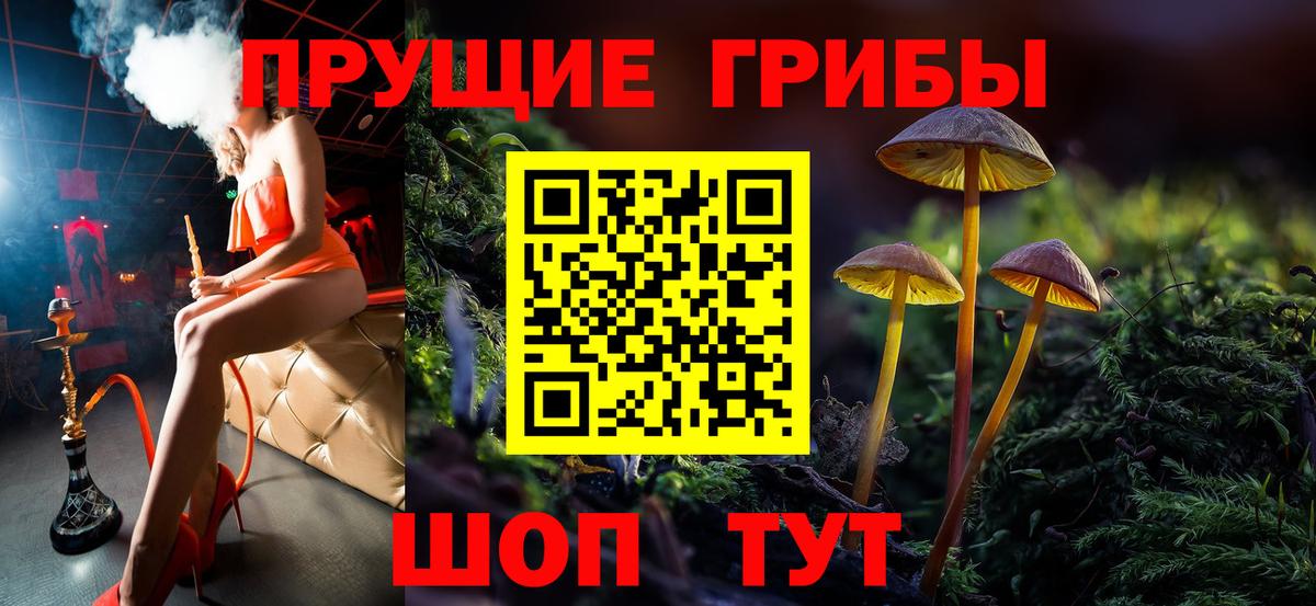Галлюциногенные грибы GOLDEN TEACHER  Вход с VPN  Кузнецк 